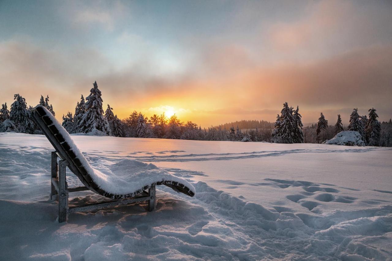 The Suite Winterberg Deluxe - Exklusive Ausstattung, Bestlage Zwischen Skikarussell Und Marktplatz, Eigener Garten, Ski- Und Fahrradraum, Ruhige Suedausrichtung, Wlan, Hundefreundlich Buitenkant foto